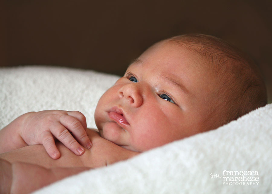 Newborn boy - Francesca Marchese Photography