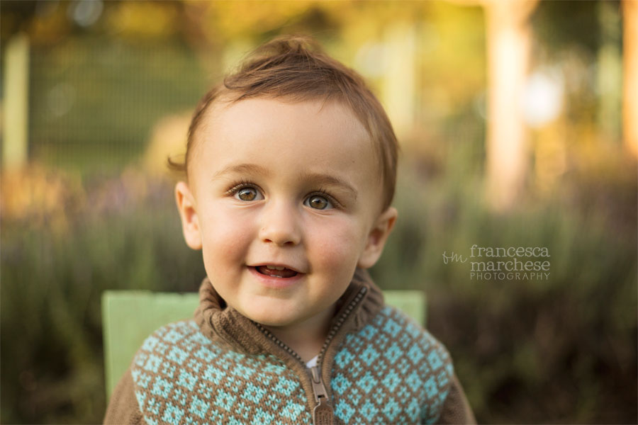 toddler boy - Francesca Marchese Photography