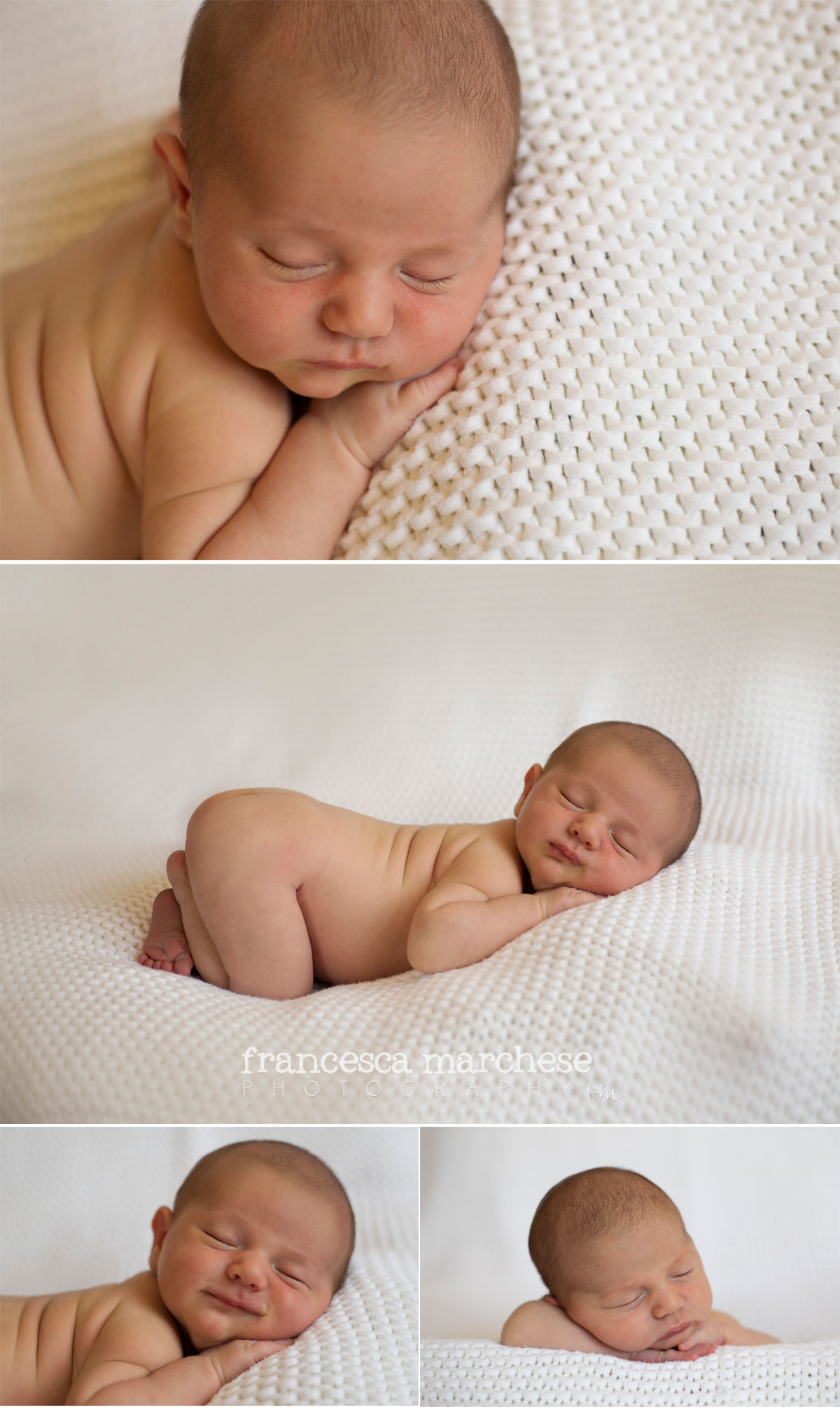 Newborn boy session - Francesca Marchese Photography