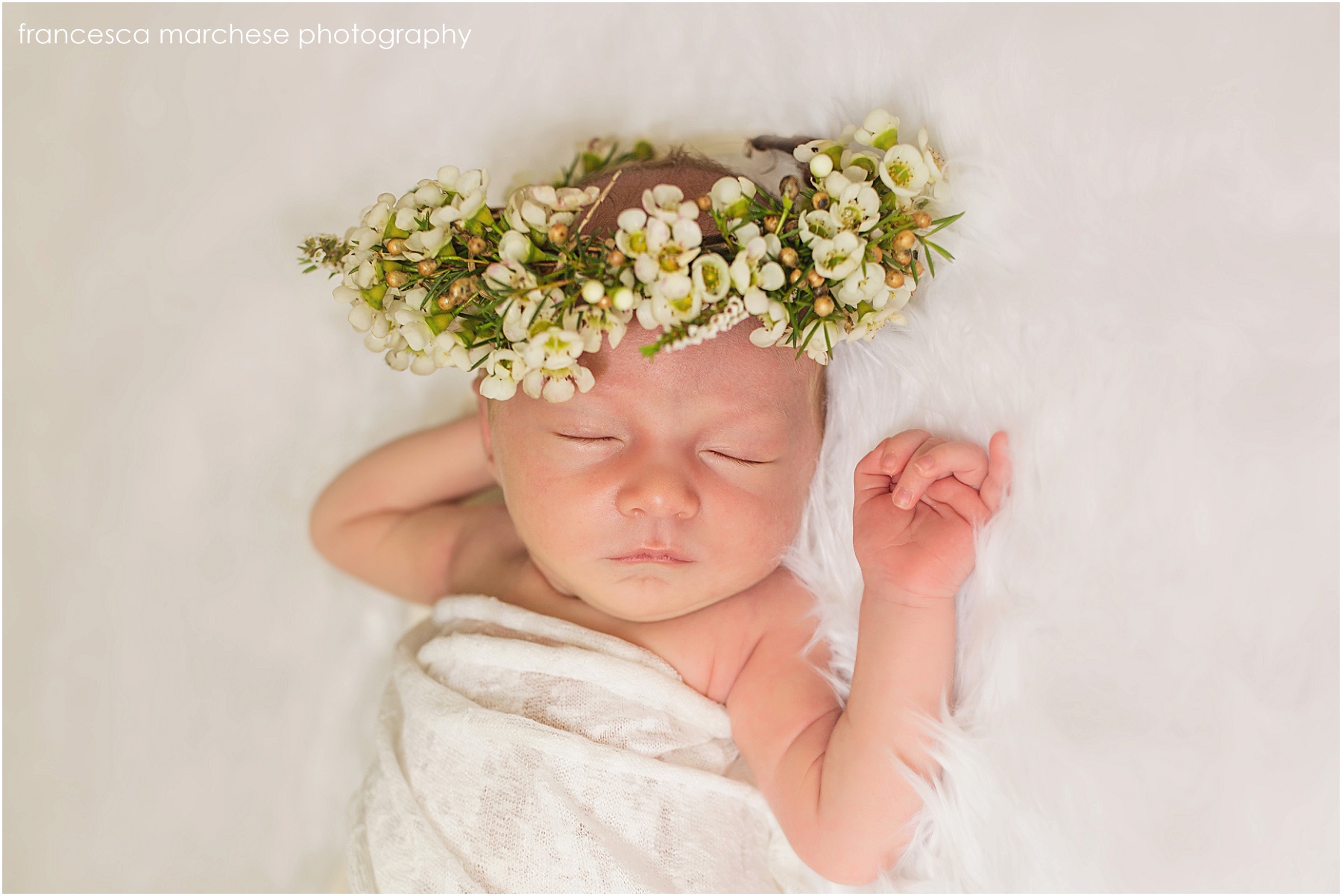 Francesca Marchese Photography - Newborn Photographer Long Beach, California (3)