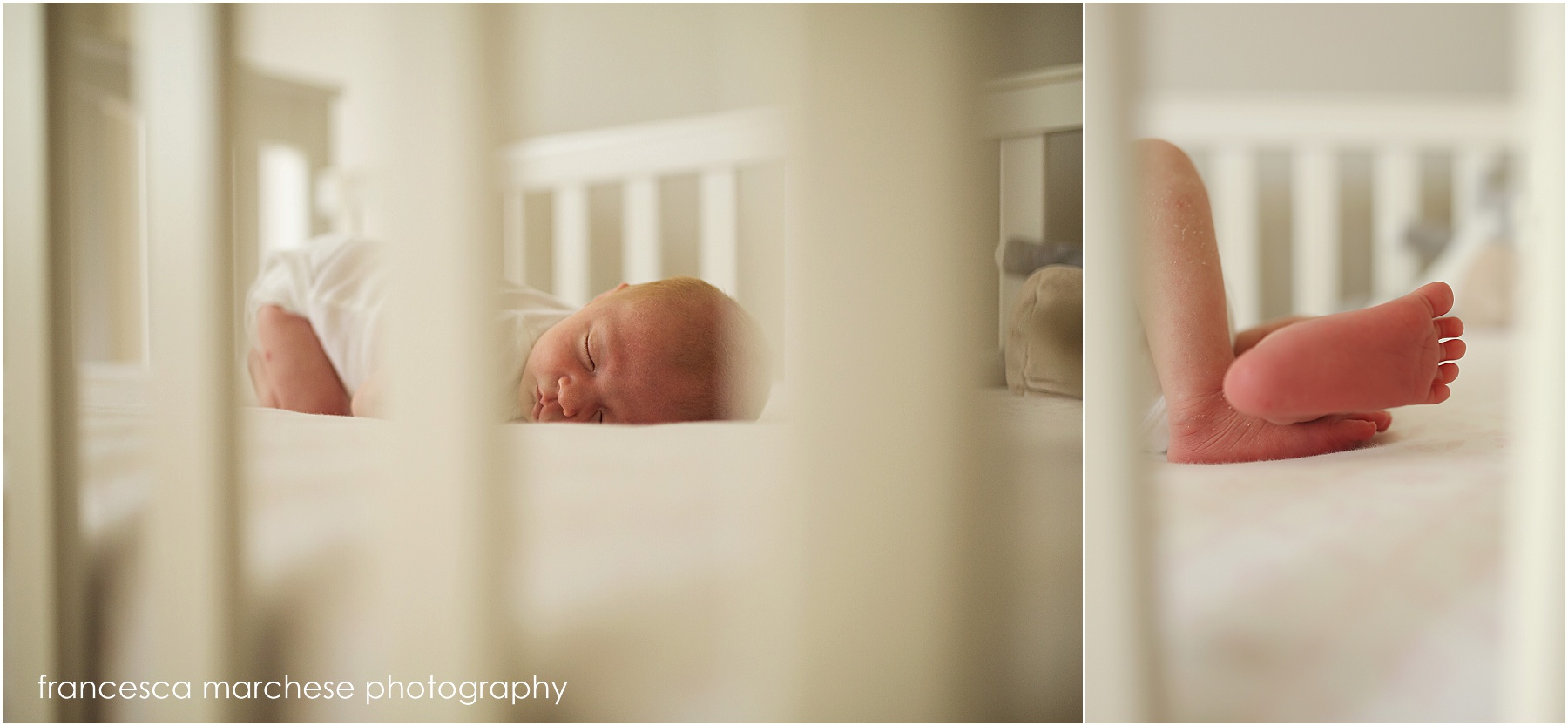 Francesca Marchese Photography - Newborn Photographer Long Beach, California (8)