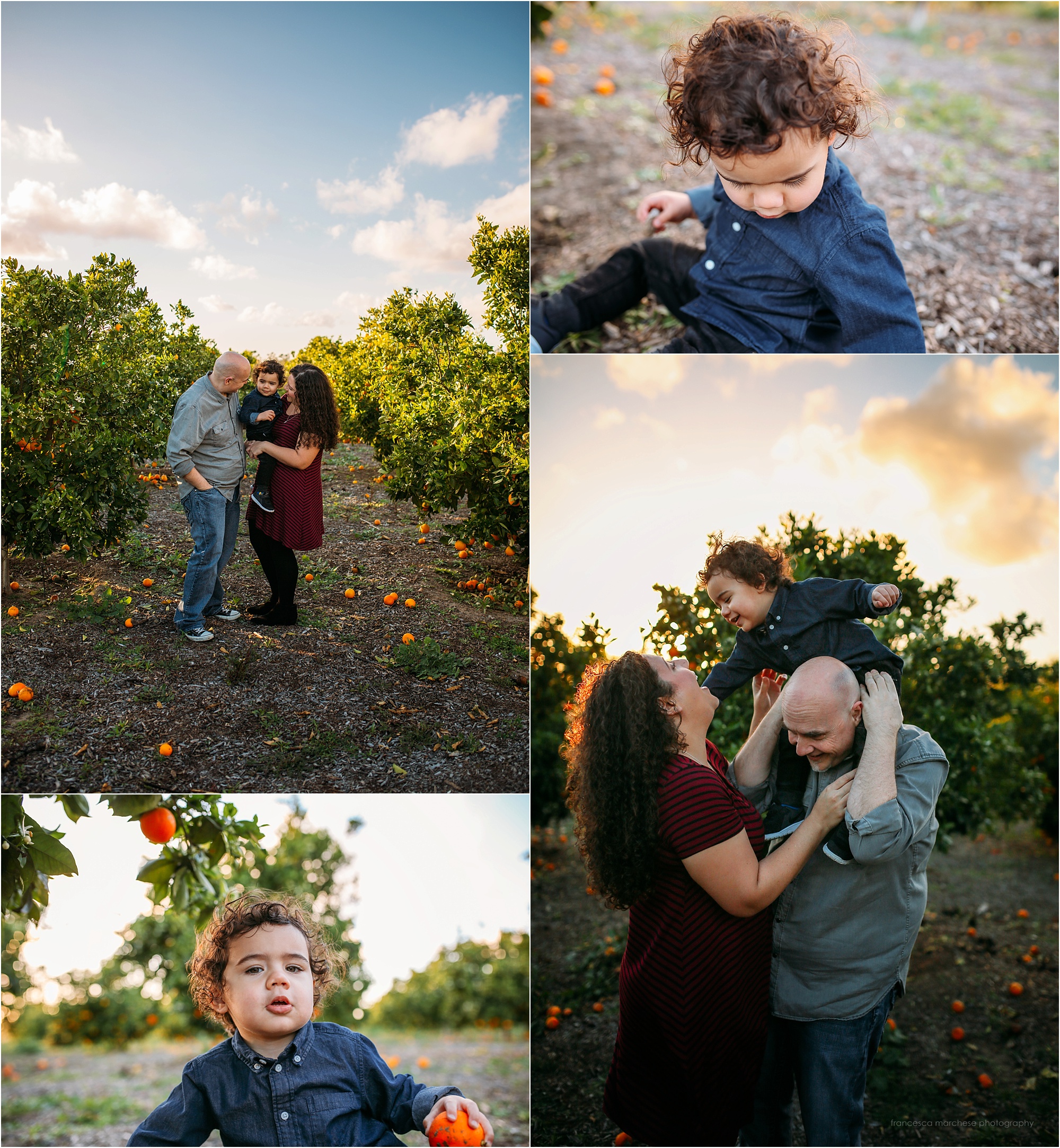 Francesca Marchese Photography Orange County Family Photographer