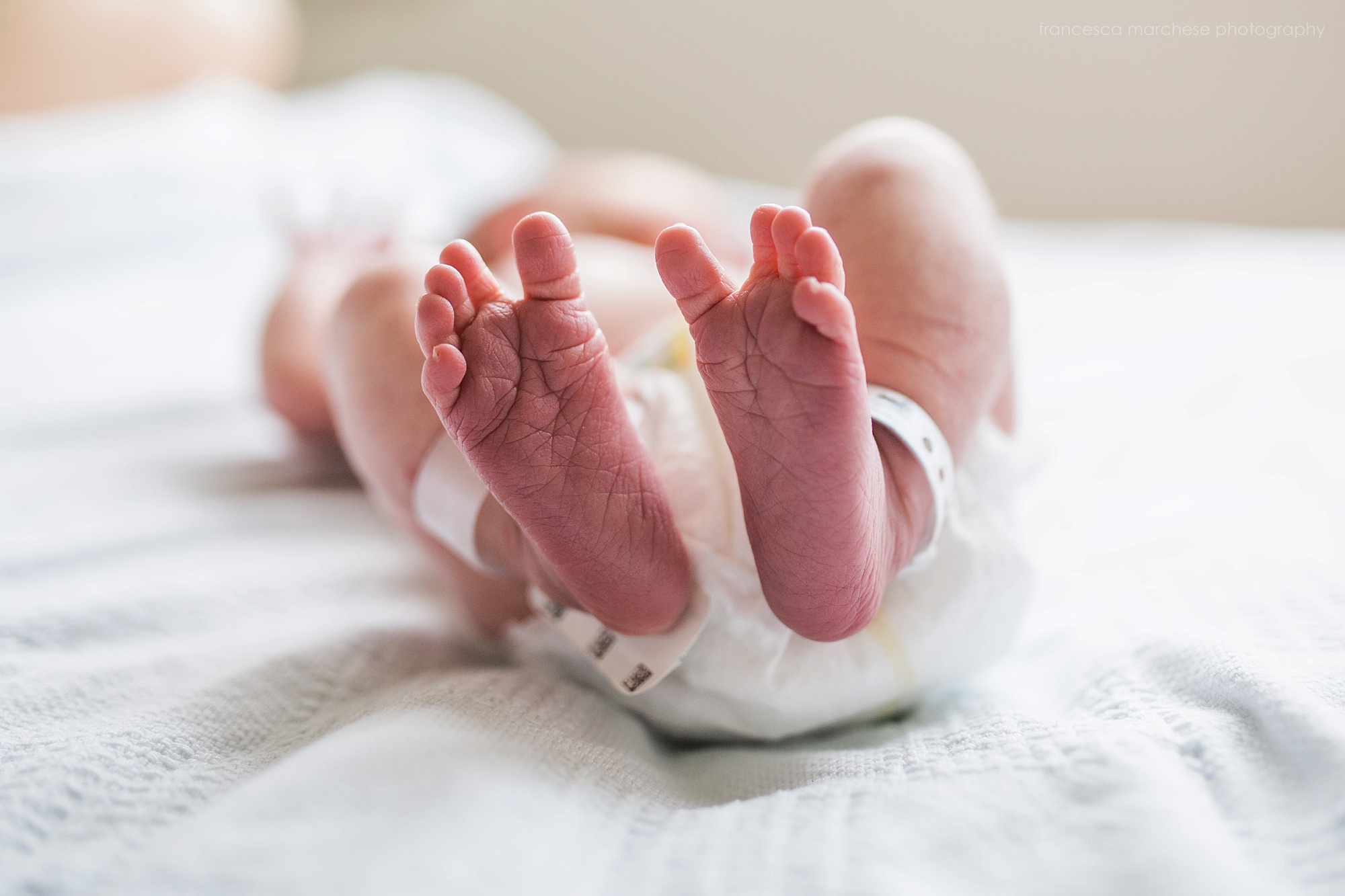 Francesca Marchese Photography - Long Beach Hospital Newborn Fresh 48