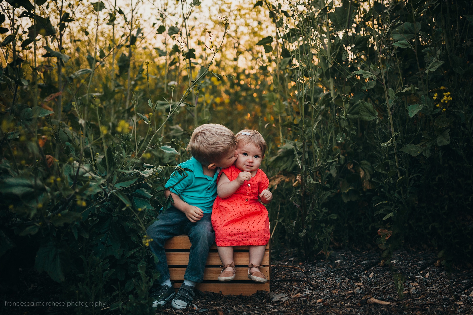 2018 Francesca Marchese Photography brother sister siblings flower field cuddles during family photography session in orange county