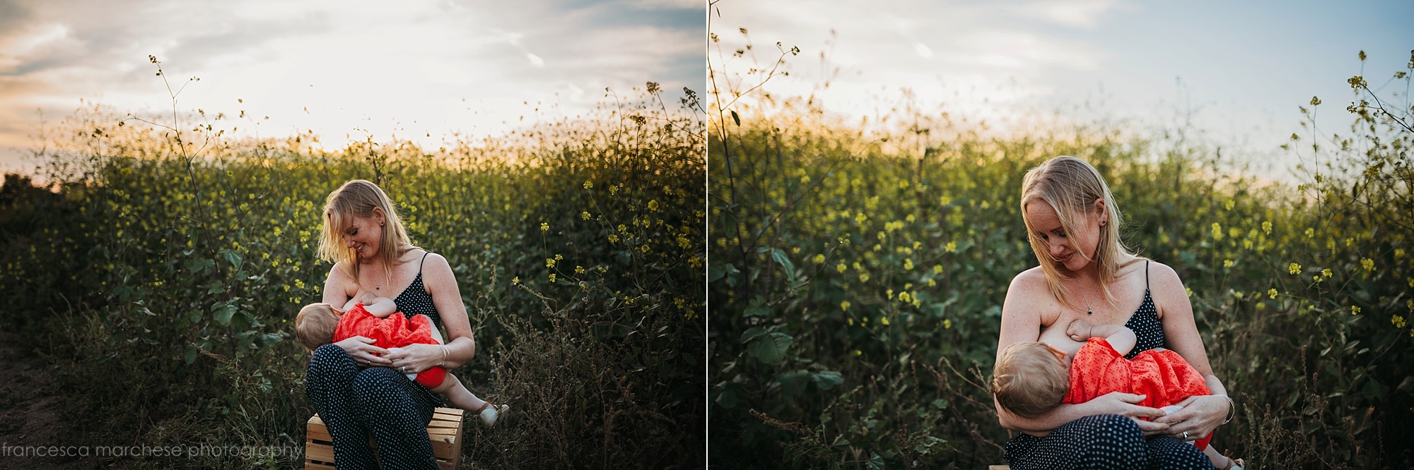 Francesca Marchese Photography mommy and little baby daughter flower field cuddles nuring breast feeding during family photography session in orange county