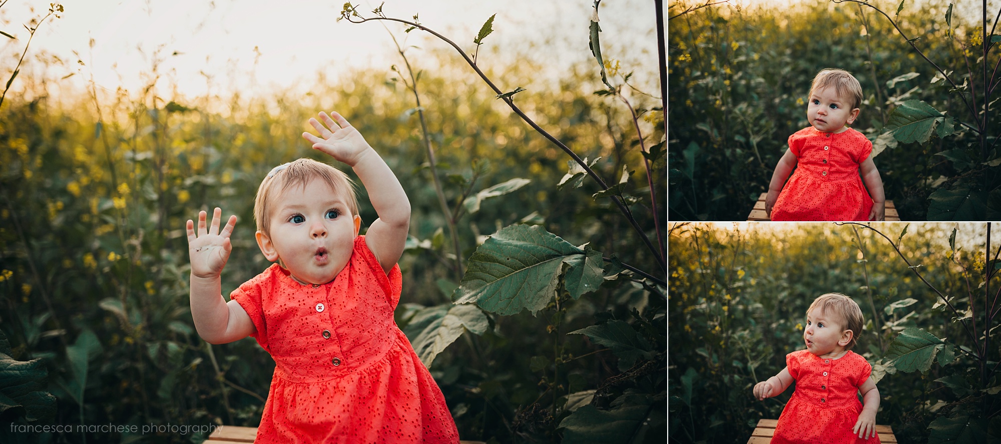 Francesca Marchese Photography one year old birthday photography flower field family photography session in orange county