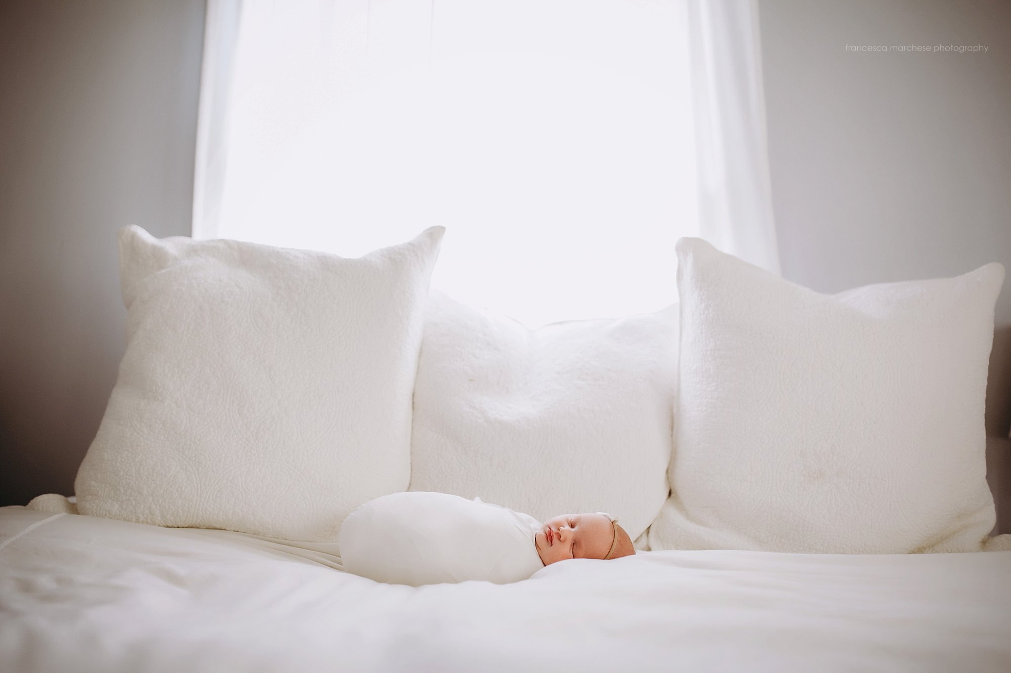 Francesca Marchese Photography newborn on white comforter bed